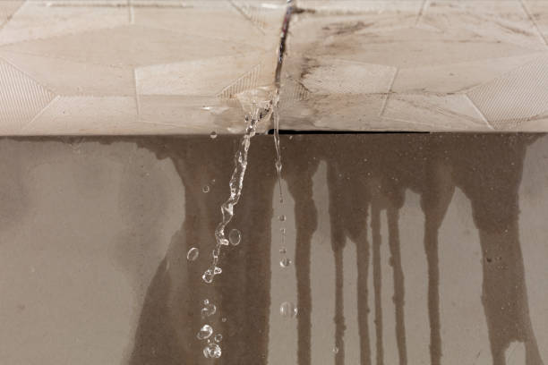 Professional Water Damage Restoration technician working in Waverly, VA